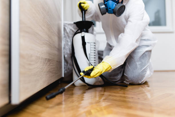Best Pest Control for Restaurants  in Anaheim, CA