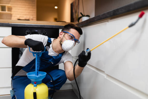 Best Affordable Pest Control Services  in Anaheim, CA