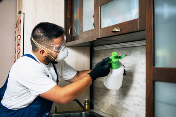 Best Pest Control Near Me  in Anaheim, CA