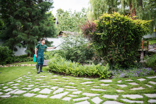 Best Ant Control Services  in Anaheim, CA