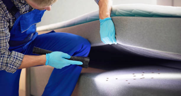 Pest Prevention Services in Anaheim, CA