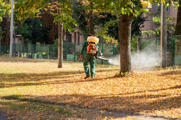 Best Rodent Control Near Me  in Anaheim, CA