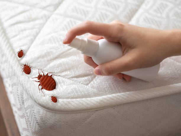 Best Best Pest Control Companies  in Anaheim, CA