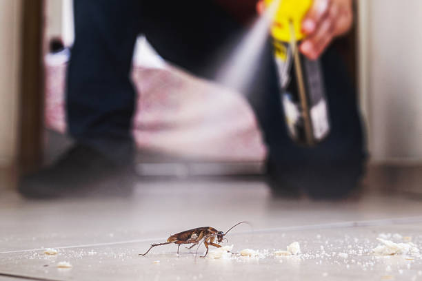 Best Insect Control  in Anaheim, CA