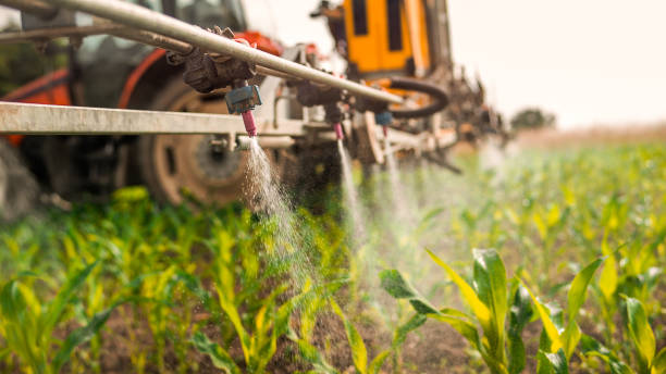 Best Commercial Pest Control Services  in Anaheim, CA