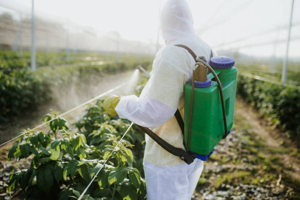 Best Best Pest Control Companies  in Anaheim, CA
